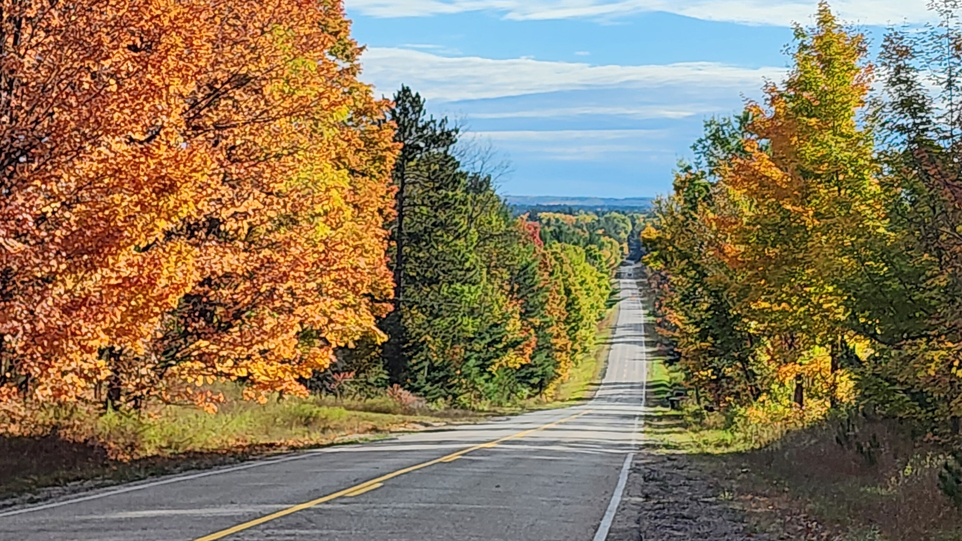 Winding road in Kalkaska County